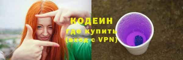 крисы Кодинск