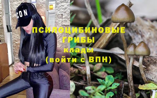 мет Козловка