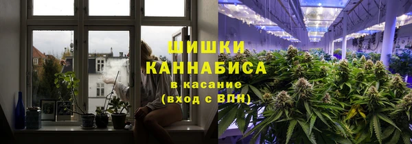 крисы Кодинск