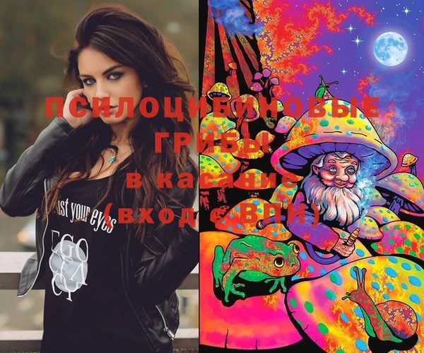 крисы Кодинск